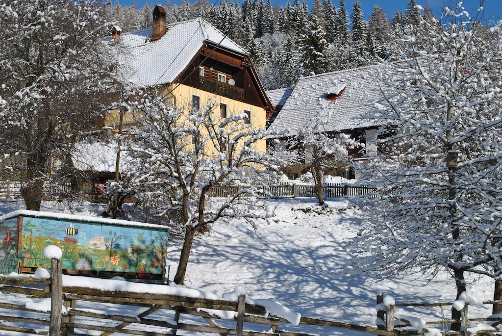 Villa Schlintl-Hof à Liebenfels Extérieur photo