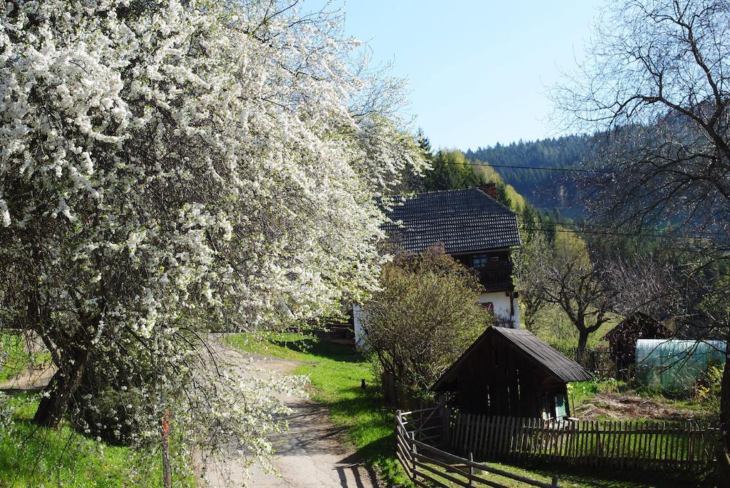 Villa Schlintl-Hof à Liebenfels Extérieur photo