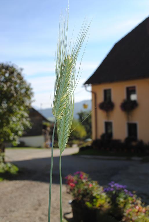 Villa Schlintl-Hof à Liebenfels Extérieur photo